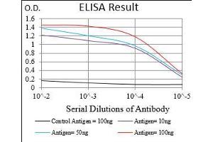 Black line: Control Antigen (100 ng), Purple line: Antigen(10 ng), Blue line: Antigen (50 ng), Red line: Antigen (100 ng), (PAPLN antibody  (AA 766-870))