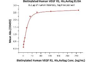 Immobilized Human VEGF165, Tag Free (ABIN2181903,ABIN2693608,ABIN3071747) at 2 μg/mL (100 μL/well) can bind Biotinylated Human VEGF R1, His,Avitag (ABIN5955009,ABIN6253629) with a linear range of 1-31 ng/mL (QC tested). (FLT1 Protein (AA 27-756) (His tag,AVI tag,Biotin))