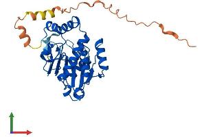 Protein Structure (PS) image for YjeF N-Terminal Domain Containing 3 (YJEFN3) (AA 1-299) protein (His tag) (ABIN7545215)