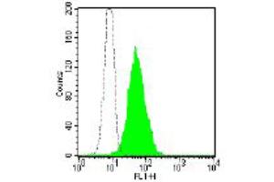 Flow Cytometry (FACS) image for anti-Membrane Metallo-Endopeptidase (MME) antibody (FITC) (ABIN2144486) (MME antibody  (FITC))