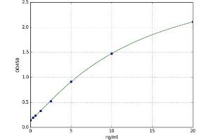 Major Histocompatibility Complex, Class II, DQ beta 2 (HLA-DQB2) ELISA Kit