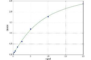 Growth Arrest-Specific 1 (GAS1) ELISA Kit