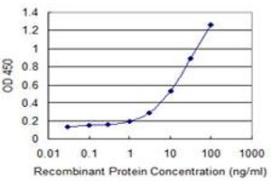 Detection limit for recombinant GST tagged ZP2 is 0. (ZP2 antibody  (AA 400-509))