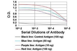 ELISA analysis of PPARGC1B monoclonal antibody, clone 6C3F6  at 1:10000 dilution. (PPARGC1B antibody  (AA 195-414))