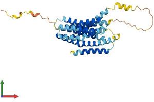 AlphaFold protein structure predicition of Human Recombinant SLC39A1 Protein, UniprotID Q9NY26 (SLC39A1 Protein (AA 1-324) (His tag))