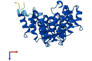 DOHH Protein (AA 1-302) (His tag)
