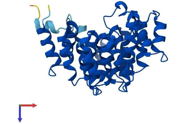 DOHH Protein (AA 1-302) (His tag)