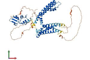 AlphaFold protein structure predicition of Human Recombinant KCNA6 Protein, UniprotID P17658 (Kv1.6/KCNA6 Protein (AA 1-529) (His tag))