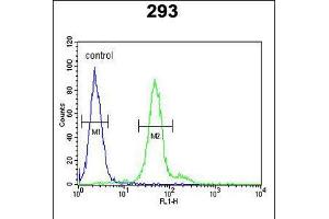 Flow cytometric analysis of 293 cells (right histogram) compared to a negative control cell (left histogram). (DDX23 antibody  (AA 248-277))