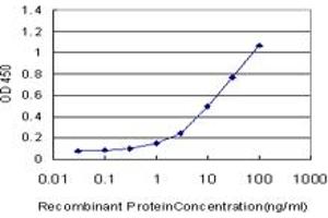 Detection limit for recombinant GST tagged OPHN1 is approximately 0. (Oligophrenin 1 antibody  (AA 641-734))