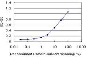 Detection limit for recombinant GST tagged OPHN1 is approximately 0. (Oligophrenin 1 antibody  (AA 641-734))