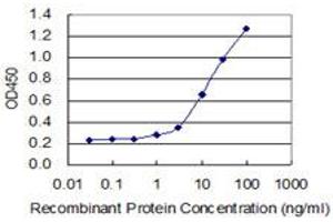 Detection limit for recombinant GST tagged CRH is 0. (CRH antibody  (AA 154-196))