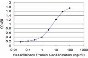Detection limit for recombinant GST tagged SMAD7 is approximately 0. (SMAD7 antibody  (AA 160-260))