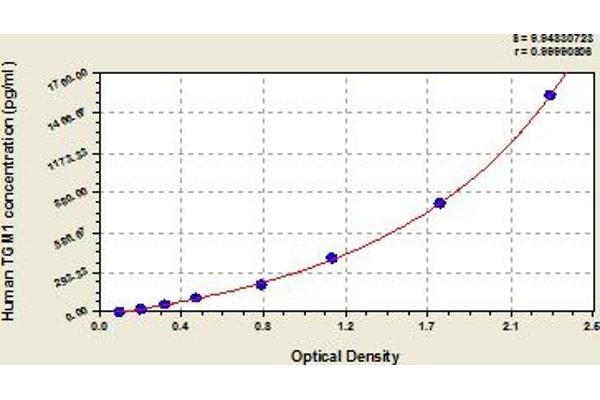 TGM1 ELISA Kit