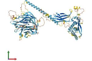 AlphaFold protein structure predicition of Human Recombinant FAAP100 Protein, UniprotID Q0VG06