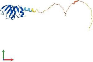 AlphaFold protein structure predicition of Mouse Recombinant Lsm4 Protein, UniprotID Q9QXA5