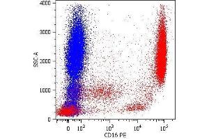 Surface staining of human peripheral blood cells with anti-CD16 (LNK16) PE. (CD16 antibody)