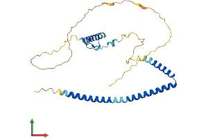 AlphaFold protein structure predicition of Human Recombinant HEXIM2 Protein, UniprotID Q96MH2 (HEXIM2 Protein (AA 1-286) (His tag))