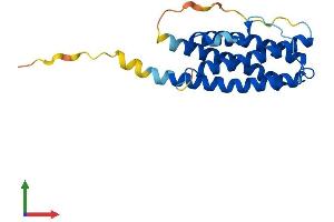 Protein Structure (PS) image for Cardiotrophin 1 (CTF1) (AA 1-201) protein (His tag) (ABIN7546865)