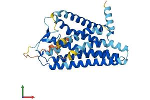 AlphaFold protein structure predicition of Human Recombinant OR5H6 Protein, UniprotID Q8NGV6 (OR5H6 Protein (AA 1-325) (His tag))