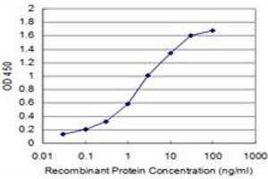 Detection limit for recombinant GST tagged TAOK3 is approximately 0. (TAO Kinase 3 antibody  (AA 809-898))
