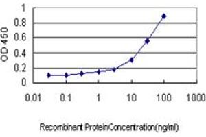 Detection limit for recombinant GST tagged PLCD4 is approximately 0. (PLCD4 antibody  (AA 18-127))