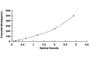 Typical Standard Curve
