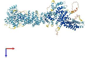 Integrator Complex Subunit 2 (INTS2) (AA 1-1198) protein (His tag)