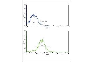 Flow cytometric analysis of HepG2 cells using BR2 Antibody (N-term)(bottom histogram) coared to a negative control cell (top histogram). (BMPR2 antibody  (N-Term))