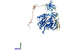 AlphaFold protein structure predicition of Mouse Recombinant Prmt2 Protein, UniprotID Q9R144