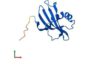 AlphaFold protein structure predicition of Mouse Recombinant Stfa3 Protein, UniprotID P35173 (Stefin A3 Protein (STFA3) (AA 1-103) (His tag))