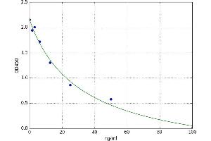 Wingless-Type MMTV Integration Site Family, Member 3A (WNT3A) ELISA Kit