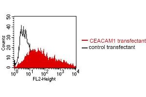 FACS analysis of BOSC23 cells using 4/3/17. (CEACAM1/5 antibody)