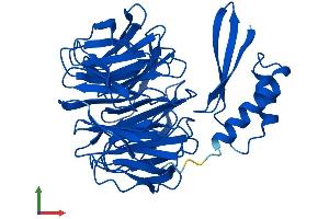 AlphaFold protein structure predicition of Human Recombinant DAW1 Protein, UniprotID Q8N136