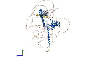 AlphaFold protein structure predicition of Human Recombinant TRIM37 Protein, UniprotID O94972 (TRIM37 Protein (AA 1-964) (His tag))