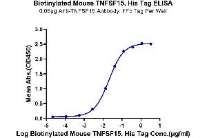 Immobilized Anti-TNFSF15 Antibody, hFc Tag at 0. (TNFSF15 Protein (AA 61-252) (His-Avi Tag,Biotin))