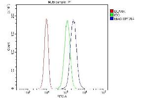 Flow Cytometry analysis of PC-3 cells using anti-MAG antibody (ABIN7601398). (MAG antibody  (AA 34-605))