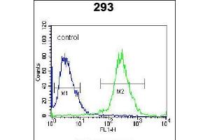 Flow cytometric analysis of 293 cells (right histogram) compared to a negative control cell (left histogram).