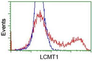 HEK293T cells transfected with either RC200018 overexpress plasmid (Red) or empty vector control plasmid (Blue) were immunostained by anti-LCMT1 antibody (ABIN2454744), and then analyzed by flow cytometry. (LCMT1 antibody)
