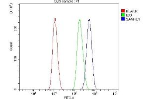 Flow Cytometry analysis of U20S cells using anti-SAMHD1 antibody (ABIN7601516). (SAMHD1 antibody  (AA 37-626))