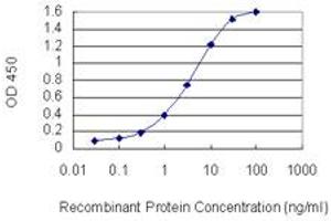 Detection limit for recombinant GST tagged RHOXF1 is 0. (RHOXF1 antibody  (AA 1-110))
