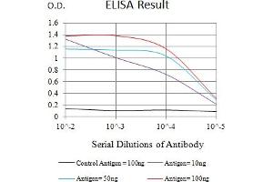 Black line: Control Antigen (100 ng),Purple line: Antigen (10 ng), Blue line: Antigen (50 ng), Red line:Antigen (100 ng) (FUT3 antibody  (AA 199-361))