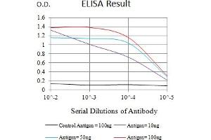 Black line: Control Antigen (100 ng),Purple line: Antigen (10 ng), Blue line: Antigen (50 ng), Red line:Antigen (100 ng) (FUT3 antibody  (AA 199-361))