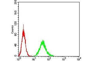 Flow cytometric analysis of A549 cells using DAPP1 mouse mAb (green) and negative control (red). (DAPP1 antibody  (AA 127-276))