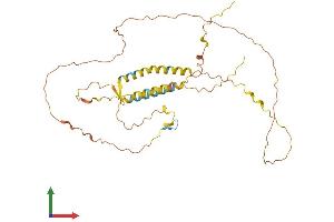 AlphaFold protein structure predicition of Human Recombinant C5orf60 Protein, UniprotID A6NFR6 (C5ORF60 Protein (AA 1-353) (His tag))