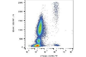 Surface staining of CD193 in human peripheral blood with anti-human CD193 (5E8) PE. (CCR3 antibody  (PE))