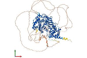 AlphaFold protein structure predicition of Human Recombinant PARG Protein, UniprotID Q86W56 (PARG Protein (PARG) (AA 1-976) (His tag))