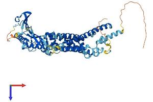 AlphaFold protein structure predicition of Mouse Recombinant Mcoln3 Protein, UniprotID Q8R4F0 (Mucolipin 3 Protein (Mcoln3) (AA 1-553) (His tag))