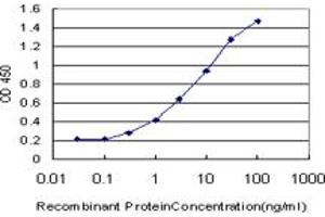 Detection limit for recombinant GST tagged HSPBAP1 is approximately 0. (HSPBAP1 antibody  (AA 1-488))