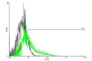 FACS analysis of negative control 293 cells (Black) and IL13RA2 expressing 293 cells (Green) using IL13RA2 purified MaxPab mouse polyclonal antibody. (IL13RA2 antibody  (AA 1-380))
